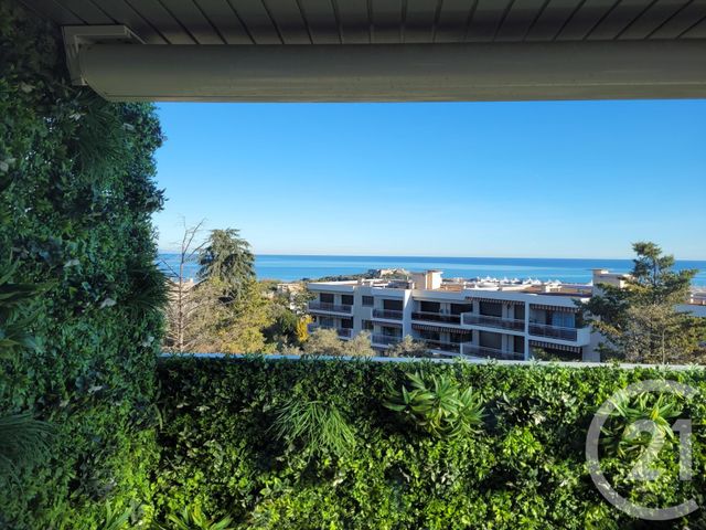 appartement - ANTIBES - 06