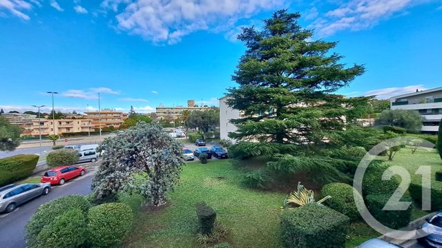 Appartement T3 &agrave; louer - 3 pi&egrave;ces - 53,68 m2 - Juan Les Pins - 06 - PROVENCE-ALPES-COTE-D-AZUR